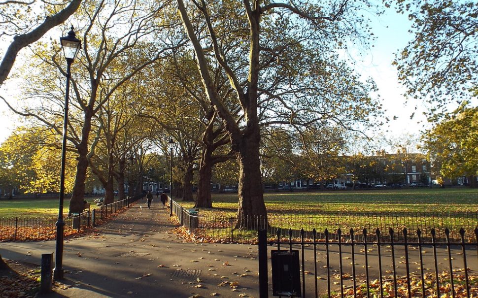 An image of Highbury Fields