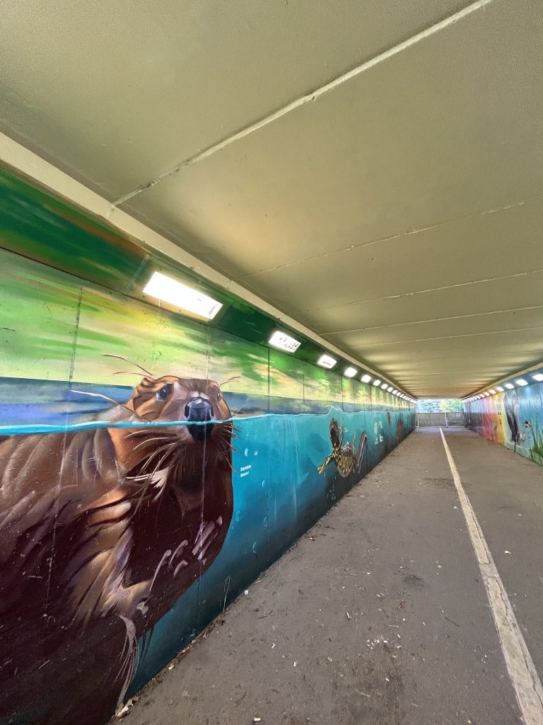 Murals in subway entrance to Paradise Fields 