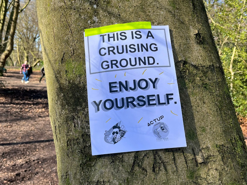 Pro-cruising poster in Hampstead Heath